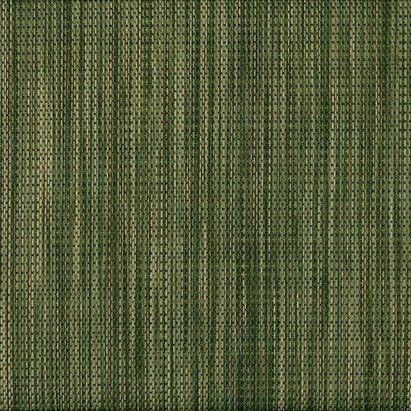 Autumn Fern