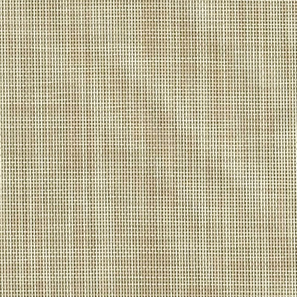 Putty Mesh