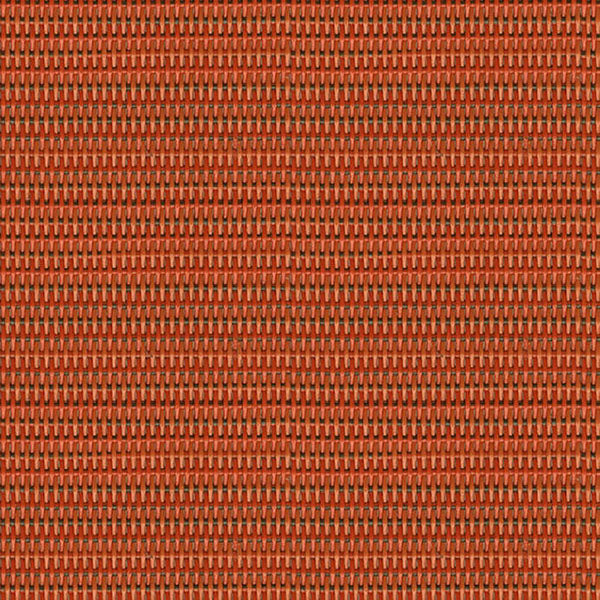 Salsa
