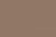 Adobe-swatch