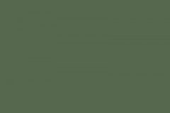 Holly-swatch